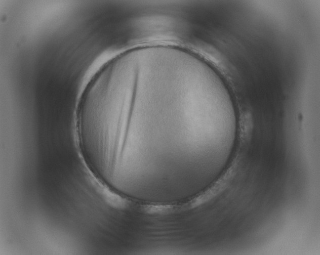 X0000067521470200605051842