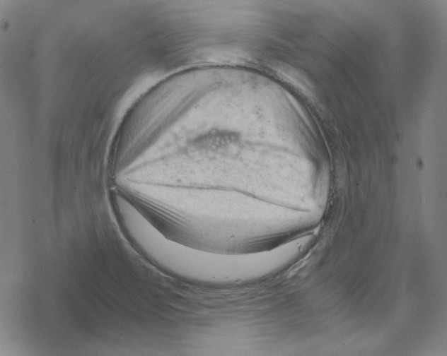 X0000067521471200605051842