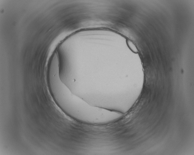 X0000067521472200605051842