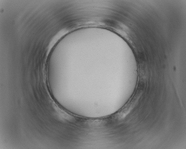 X0000067521474200605051842