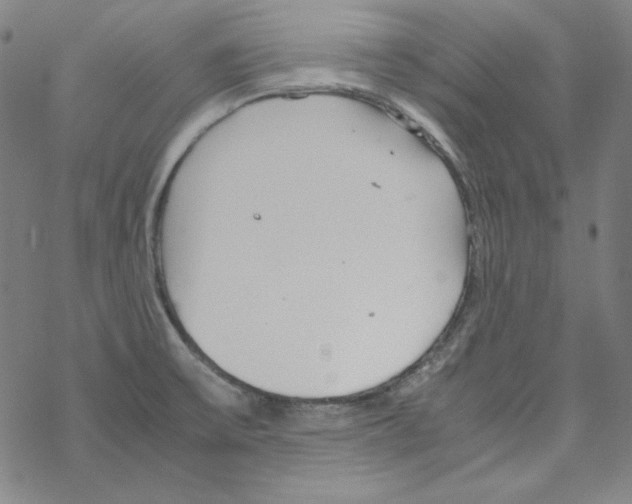 X0000067521475200605051842