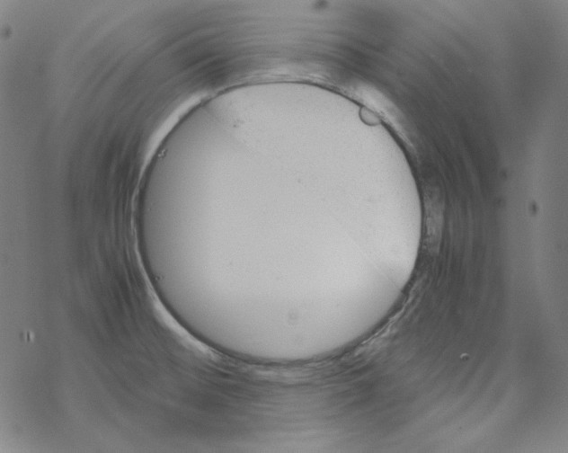 X0000067521476200605051842