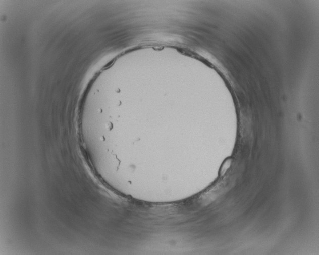 X0000067521477200605051842