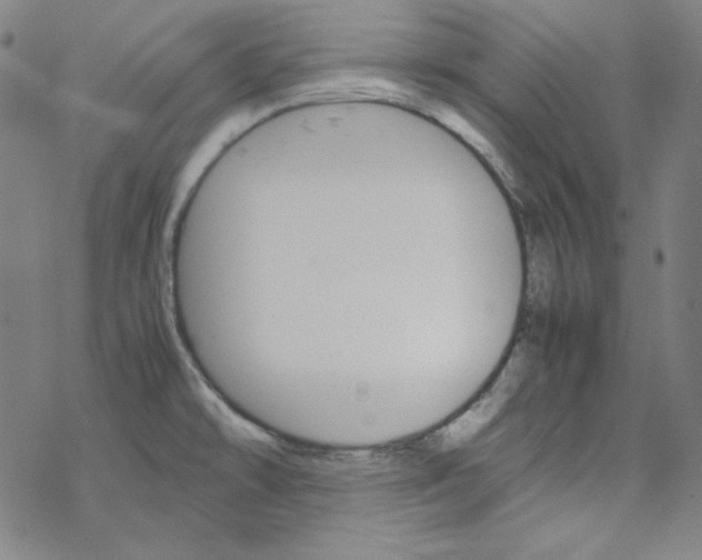 X0000067521478200605051842