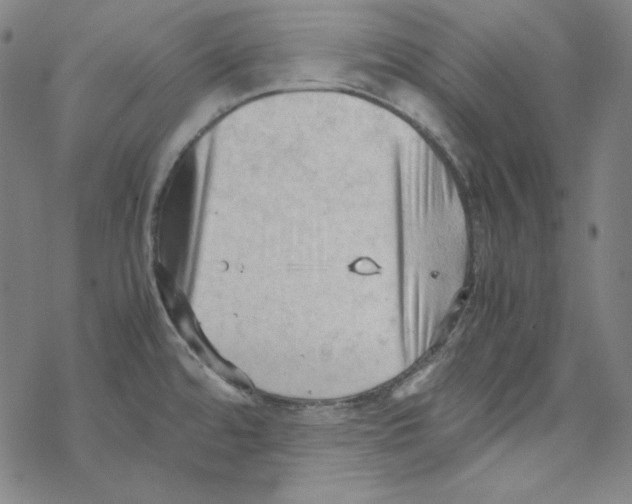 X0000067521480200605051842