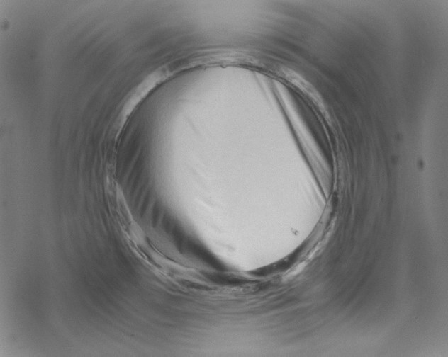 X0000067521481200605051842