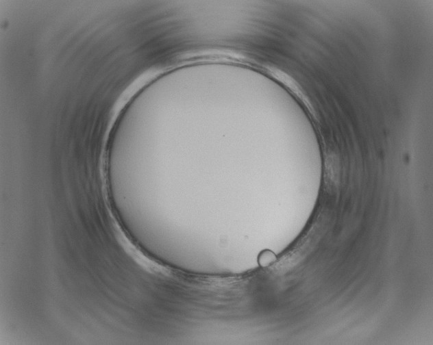 X0000067521482200605051842