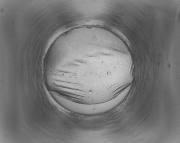 X0000067521483200605051842