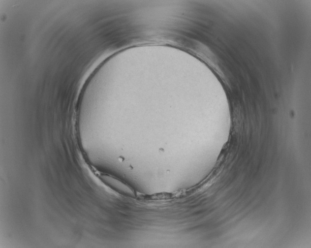 X0000067521484200605051842