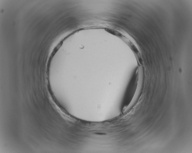 X0000067521485200605051842