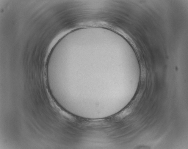 X0000067521486200605051842