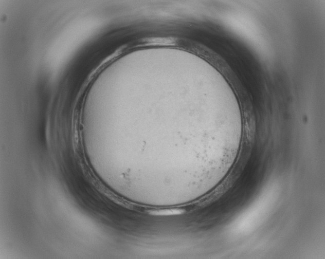 X0000067521487200605051842