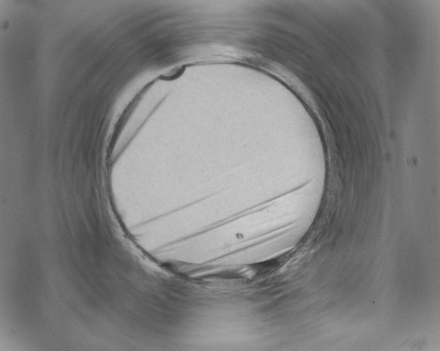 X0000067521488200605051842