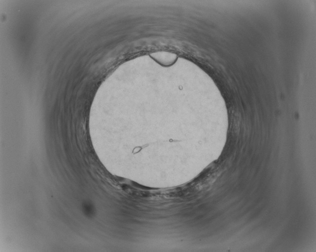 X0000067521489200605051841