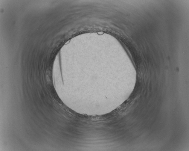 X0000067521490200605051841