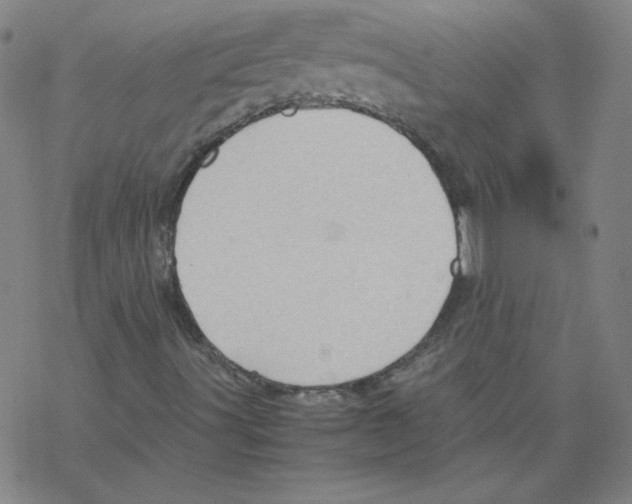 X0000067521491200605051841