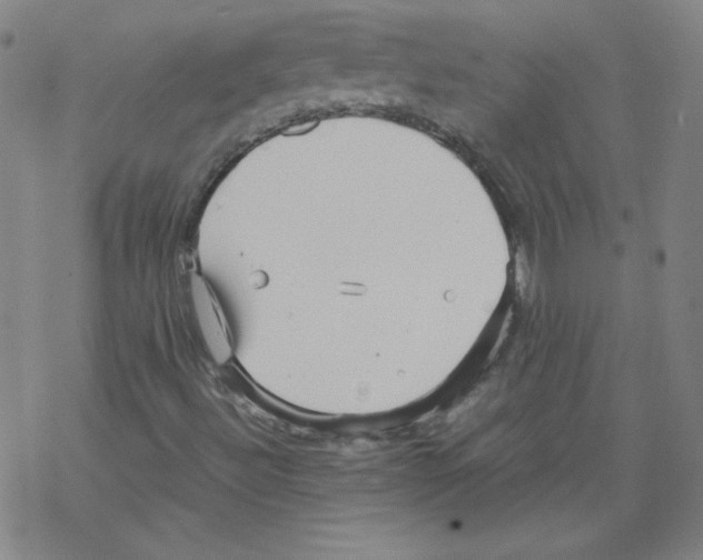 X0000067521492200605051841