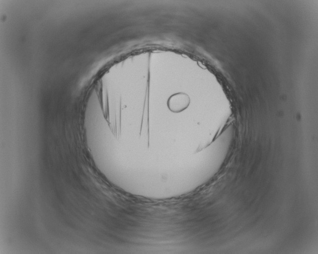 X0000067521496200605051841