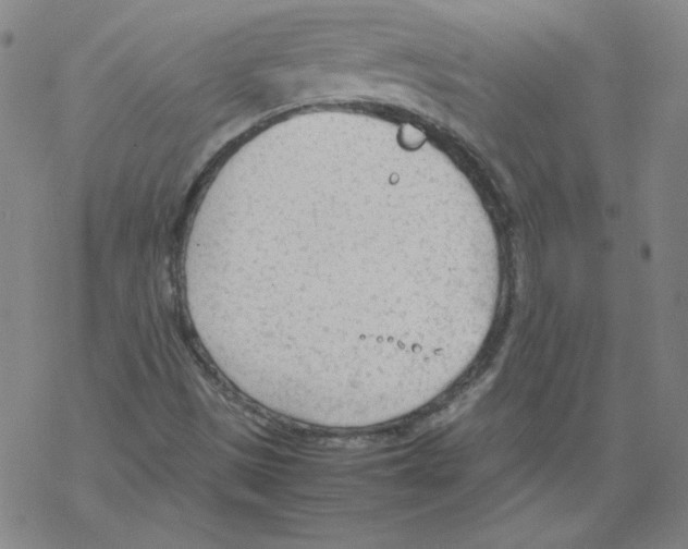 X0000067521497200605051841