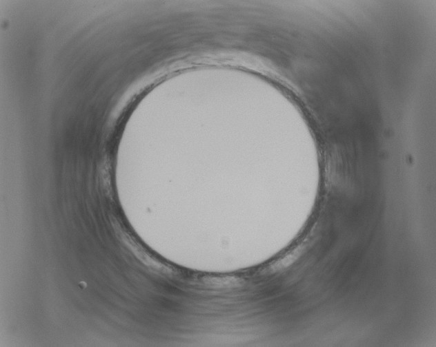 X0000067521498200605051841