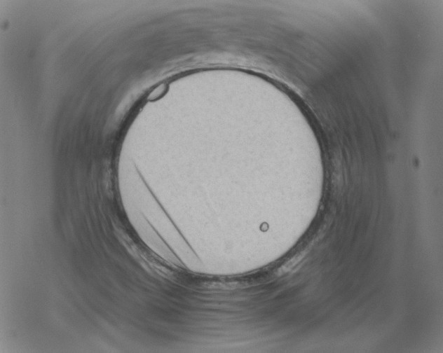 X0000067521499200605051841