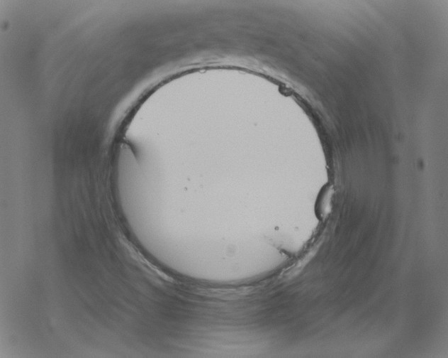 X0000067521502200605051841