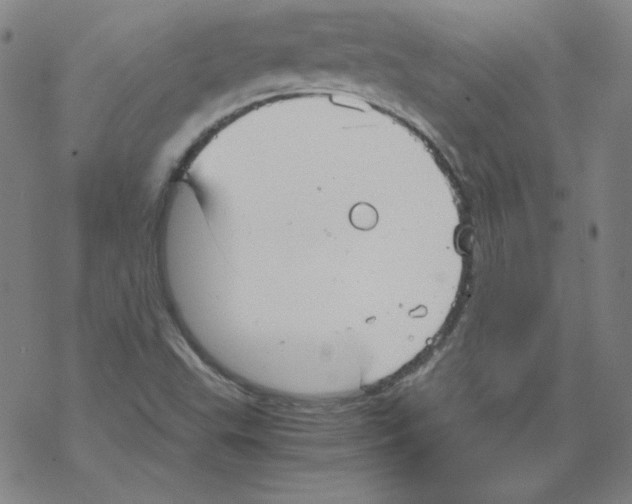 X0000067521503200605051841