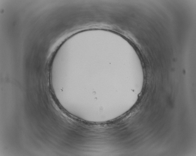 X0000067521504200605051841