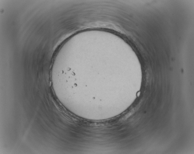 X0000067521505200605051841