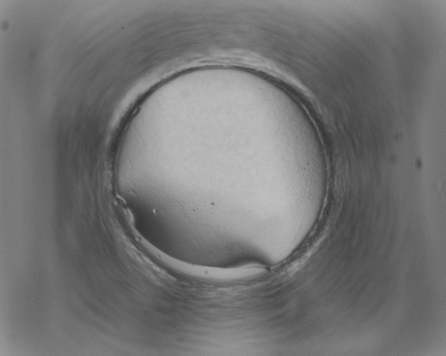 X0000067521506200605051841