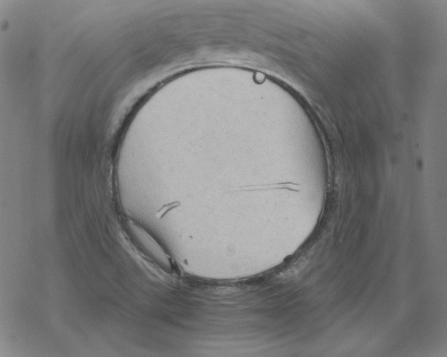 X0000067521507200605051841