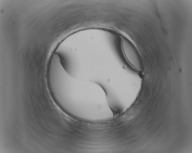 X0000067521508200605051841