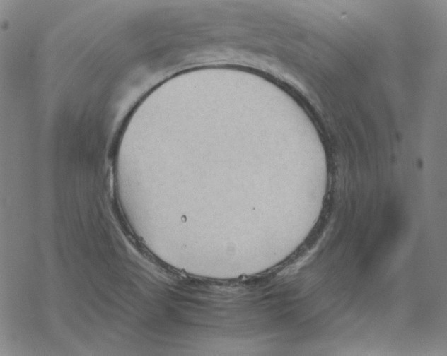 X0000067521509200605051841