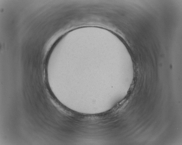 X0000067521511200605051841