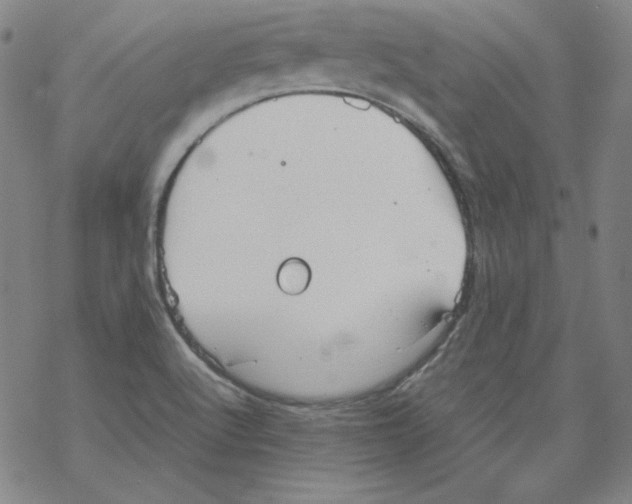 X0000067521512200605051841