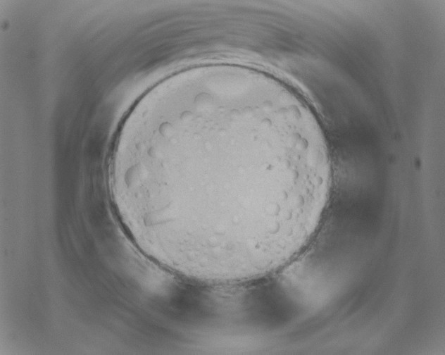 X0000067521514200605051841