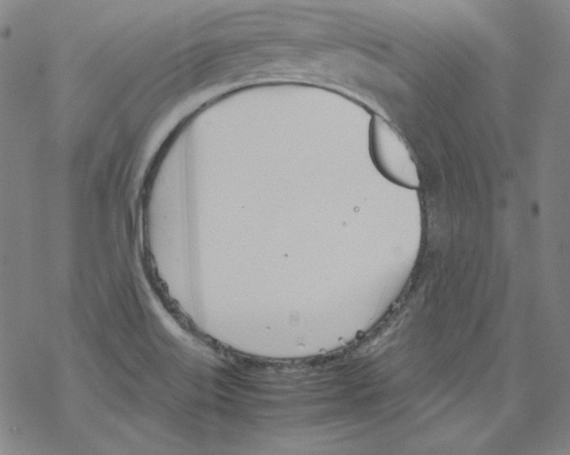 X0000067521515200605051841