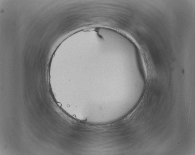 X0000067521516200605051841