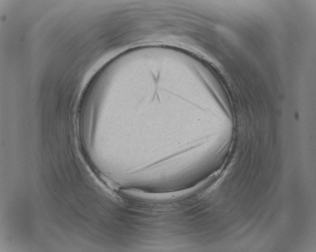 X0000067521517200605051841