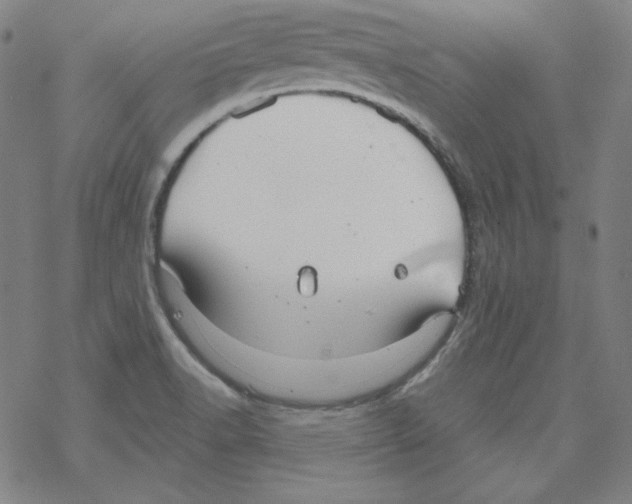 X0000067521518200605051841