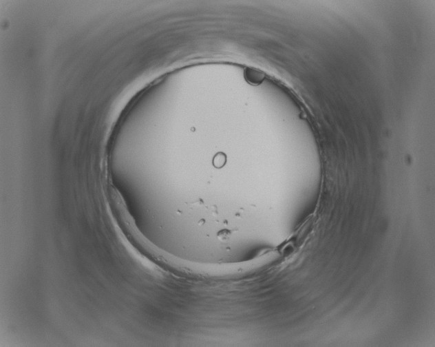 X0000067521519200605051841