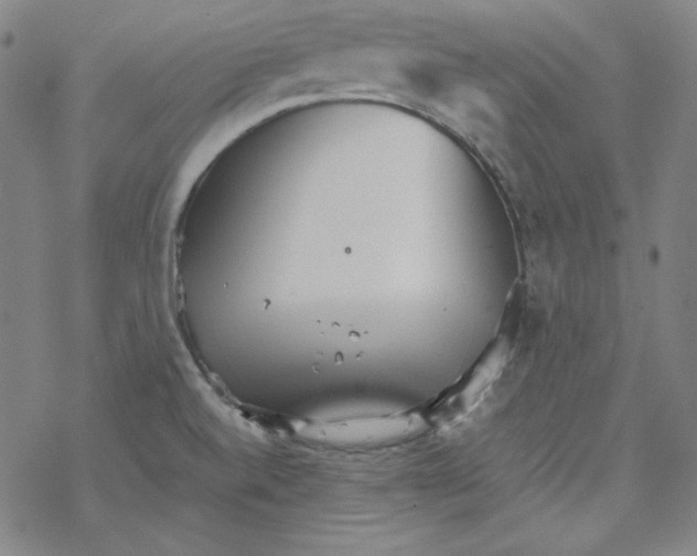 X0000067521520200605051841