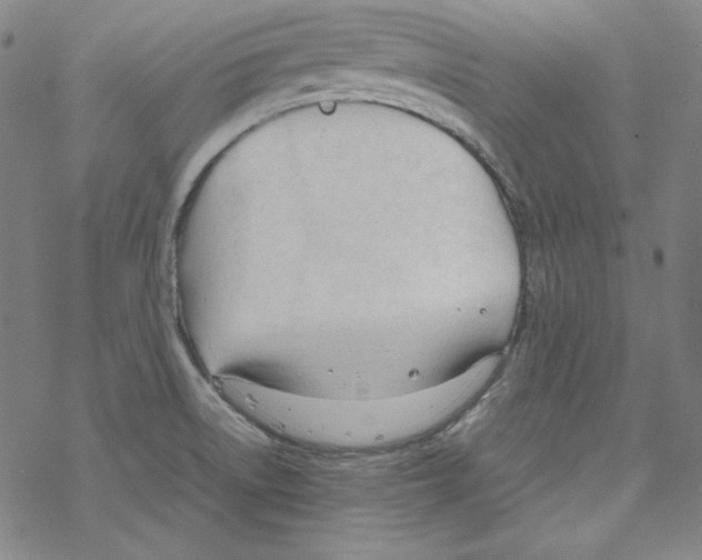 X0000067521522200605051841