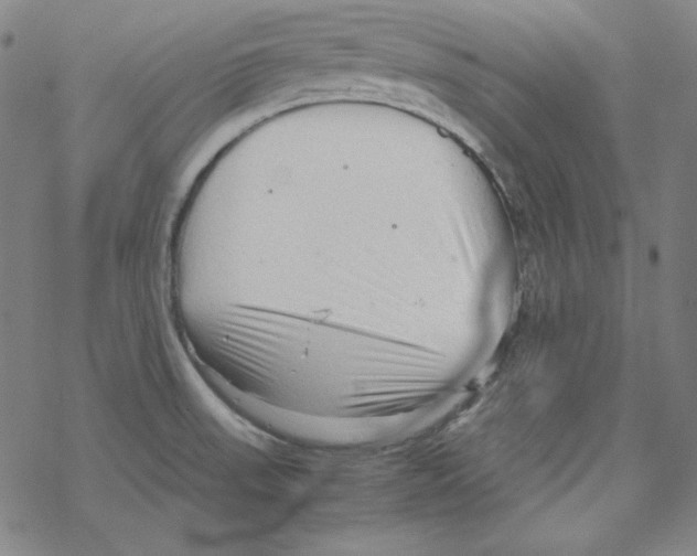 X0000067521523200605051841