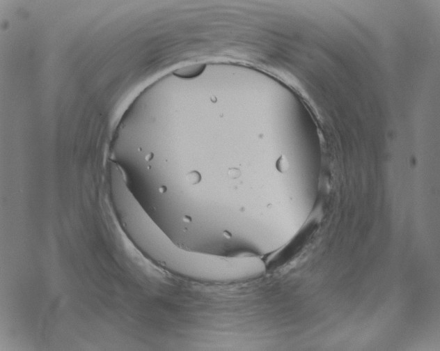 X0000067521524200605051841