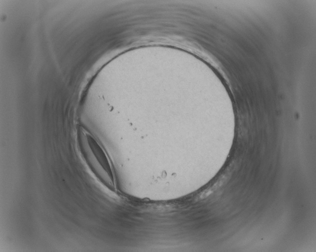 X0000067521525200605051841