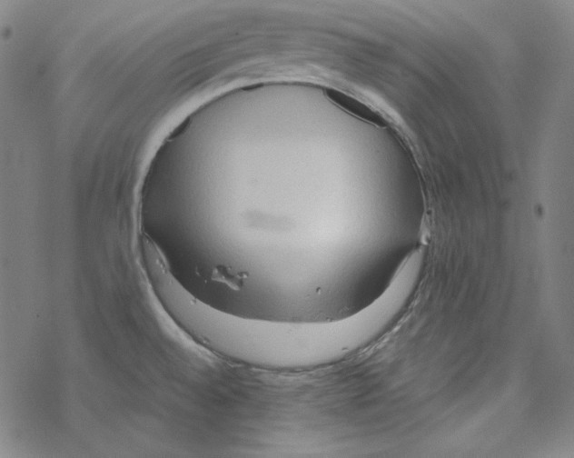 X0000067521528200605051842