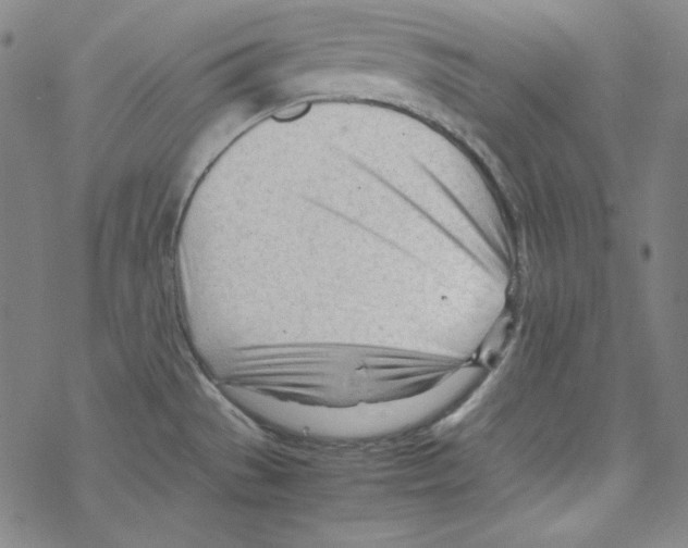 X0000067521529200605051842