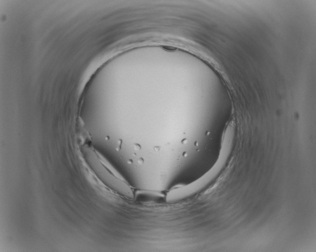 X0000067521530200605051842