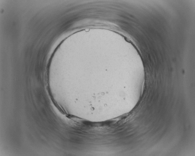 X0000067521531200605051842